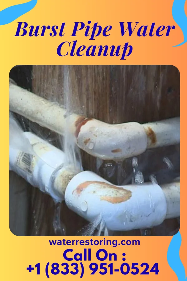 Burst Pipe Water Cleanup in Harrod, OH