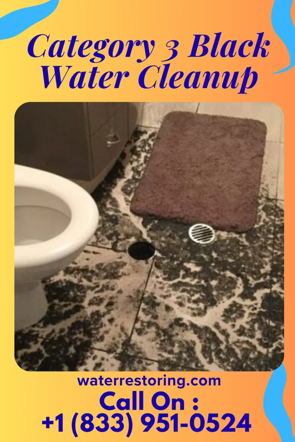 Category 3 Black Water Cleanup in Harrod, OH