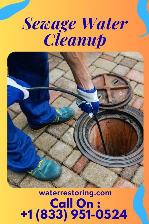 Sewage Water Cleanup in Harrod, OH