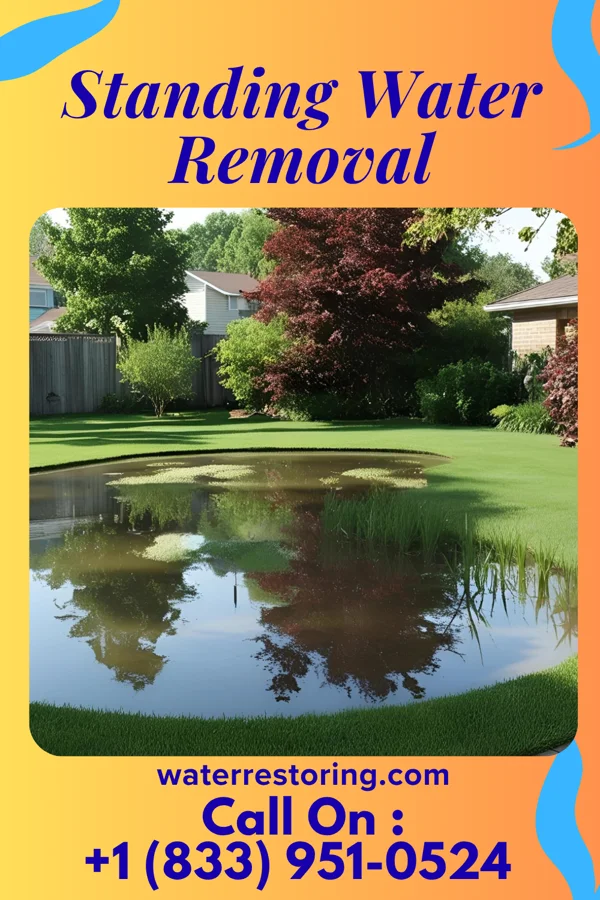 Standing Water Removal in Harrod, OH